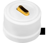 Клавишный выключатель Bironi 1 клавишный ручка Золото,цвет белый B1-220-21-G