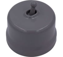 Кнопка Bironi (однотумблерная), пластик, цвет Титан B1-230-26-PB