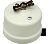 Поворотный выключатель Bironi 1-клавишный, ручка Бронза B1-200-211-B