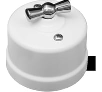 Поворотный выключатель Bironi 1 клавишный ручка Серебро, цвет белый B1-200-21-S