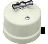 Поворотный выключатель Bironi 1-клавишный, ручка Серебро B1-200-211-S