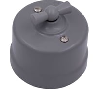 2-клавишный выключатель Bironi, пластик, цвет Титан B1-202-26