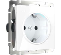 Розетка с подсветкой Werkel W1171401 a051125