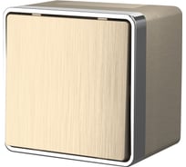 Одноклавишный влагозащищенный выключатель WERKEL Gallant шампань рифленый W5010210 a041413