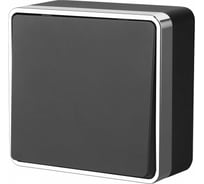 Одноклавишный выключатель Werkel Gallant черный/хром W5010035 a050968