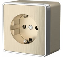 Розетка с заземлением и шторками WERKEL W5071110 Gallant шампань рифленый a051047