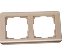 Рамка на 2 поста Werkel W0022111 шампань a051263