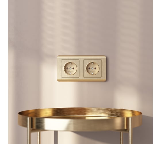 Рамка на 2 поста Werkel W0022111 шампань a051263