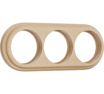 Рамка на 3 поста Werkel W0035224 светлый бук a050994