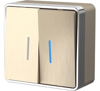 Выключатель WERKEL W5020110 двухклавишный с подсветкой Gallant шампань рифленый a051043