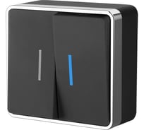 Выключатель WERKEL W5020135 двухклавишный с подсветкой Gallant черный хром a050975
