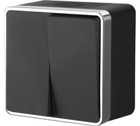 Выключатель WERKEL W5020235 двухклавишный влагозащищенный Gallant черный хром a050976