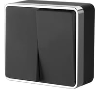 Выключатель WERKEL W5020035 двухклавишный Gallant черный хром a050972