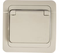 Одинарная розетка IN HOME с заземлением, с крышкой CLASSICO белая 2114 4690612002422