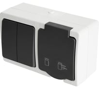 Блок STEKKER: розетка одноместная с заземляющим контактом открытой установки, двухклавишный выключатель 250В, 16А 32761