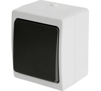 Одноклавишный выключатель STEKKER открытой установки 250В, 10А, серый/графит, PSW10-111-54 32752