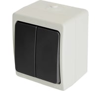 Двухклавишный выключатель STEKKER открытая установка, однополюсный для двух цепей, с общим вводом 32753