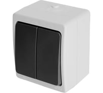 Двухклавишный выключатель STEKKER открытая установка, однополюсный для двух цепей, с общим вводом 32753