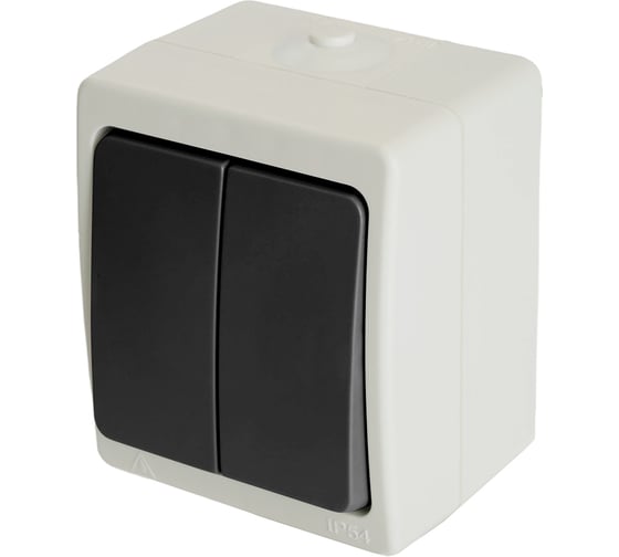 Двухклавишный выключатель STEKKER открытая установка, однополюсный для двух цепей, с общим вводом 32753 1