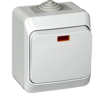 1-клавишный выключатель Systeme Electric Lexel Этюд Серый с подсветкой IP44, наружный BA10-045C