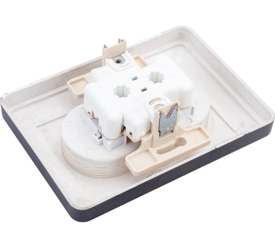 Двухместная розетка Systeme Electric WESSEN 59 Черный бархат б/з в сборе с рамкой RS16-254-68