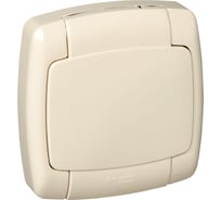 Розетка Systeme Electric 1-м ОП Рондо IP44 с заземлением, защитные шторки, слоновая кость SchE RA16-112B-SI РА16-112Б-си
