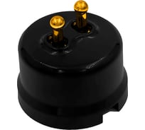 2 клавишный тумблерный выключатель Bironi ручка золото B1-232-23-G