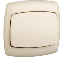 Выключатель Systeme Electric 1-кл. СП Рондо 6А сл. кость SchE С16-067 S16-067-SI С16-067-си