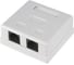 Настенная розетка Ripo 2 портa, cat.5e (класс d), 100мгц, rj45/8p8c, 110, t568a/b, неэкранированная 003-500048 1