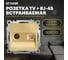 Механизм розетки STEKKER tv + компьютерная rj-45, серия катрин, золото, gls00-7106-08, 49230 2