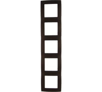 Рамка на 5 постов ЭРА 12-5005-13 12, бронза Б0019383