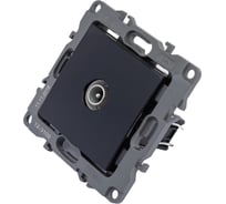 Розетка TV ЭРА 12-3102-06 проходная, IP20, 12, чёрный Б0027436