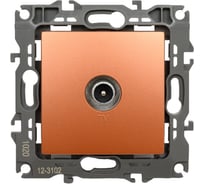 Розетка TV ЭРА 12-3102-14 проходная, IP20, 12, медь Б0027439