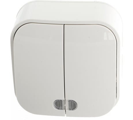 Двухклавишный выключатель IONICH с подсветкой слоновая кость 1426