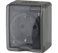 Розетка ЭРА 11-2402-03 2P E IP54, шторки, 16A-250В, ОУ, серый Б0020715