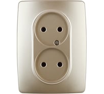 Розетка ЭРА 12-2107-04 2X2P, 16A-250В, IP20, 12, шампань Б0031241