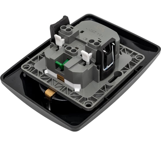 Розетка ЭРА 12-2106-06 2X2P E Schuko, 16A-250В, IP20, 12, чёрный Б0031233