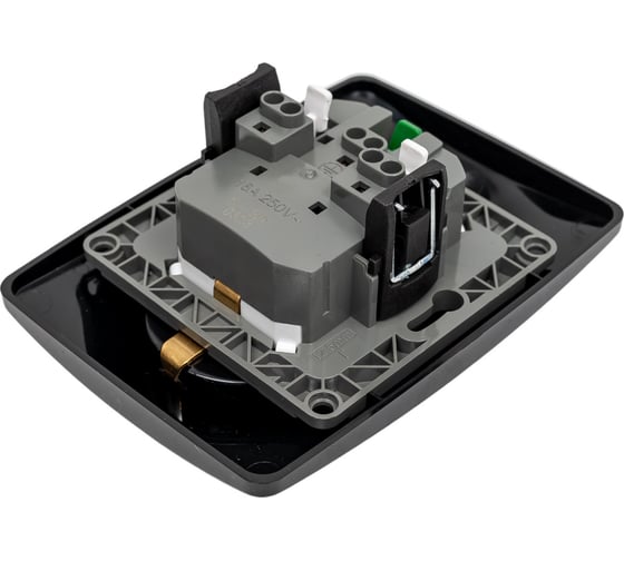 Розетка ЭРА 12-2106-06 2X2P E Schuko, 16A-250В, IP20, 12, чёрный Б0031233