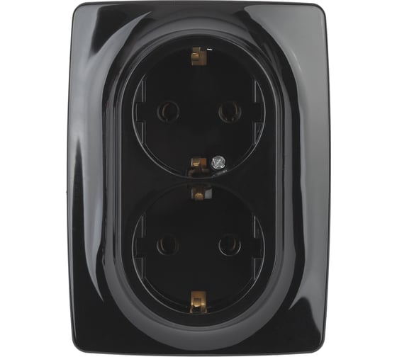 Розетка ЭРА 12-2106-06 2X2P E Schuko, 16A-250В, IP20, 12, чёрный Б0031233