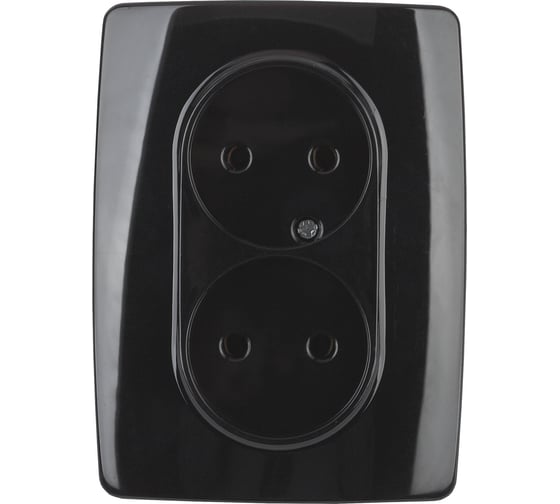 Розетка ЭРА 12-2107-06 2X2P, 16A-250В, IP20, 12, чёрный Б0031243