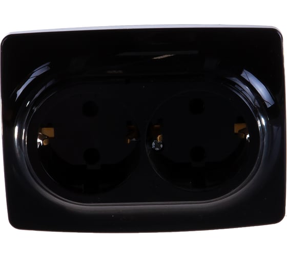 Розетка ЭРА 12-2108-06 2X2P E Schuko со шторками, 16A-250В, IP20, 12, чёрный Б0036447