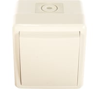 Выключатель ЭРА 11А-1401-01 IP54, 10АХ-250В, ОУ, Эксперт, Al Cu, белый Б0038816