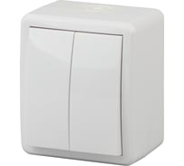 Двойной выключатель ЭРА 11А-1404-01 IP54, 10АХ-250В, ОУ, Эксперт, Al Cu,белый Б0038817