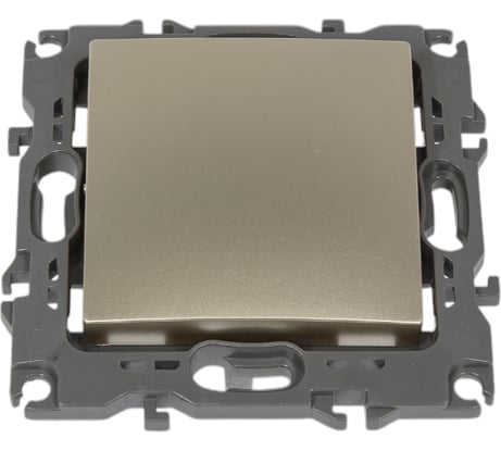 Выключатель ЭРА 12-1001-04 10АХ-250В, IP20, без м.лапок, 12, шампань Б0014630