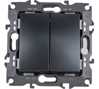 Двойной выключатель ЭРА 12-1104-12 10АХ-250В, IP20, 12, графит Б0019287