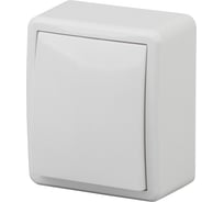 Выключатель с подсветкой ЭРА 11-1202-01 10АХ-250В, IP20, ОУ, Эксперт, белый Б0020657