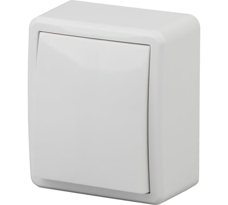 Выключатель с подсветкой ЭРА 11-1202-01 10АХ-250В, IP20, ОУ, Эксперт, белый Б0020657