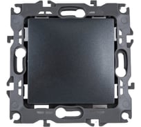 Выключатель ЭРА 12-1101-12 10АХ-250В, IP20, 12, графит Б0019276