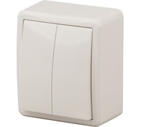 Двойной выключатель с подсветкой ЭРА 11-1205-02 10АХ-250В, IP20, ОУ, Эксперт, сл.кость Б0020667