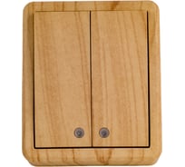 Двойной выключатель с подсветкой ЭРА 11-1205-11 10АХ-250В, IP20, открытой установки, Эксперт, сосна Б0020668